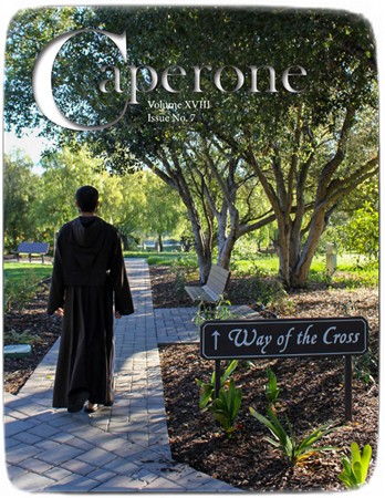 2026 02 CAPERONE